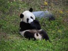 九寨溝黃龍四日游小包團定制游 【2-8-12人 ，多種行程多種套餐】